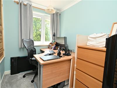 Picture 12
